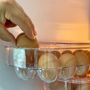냉장고 계란보관함 계란보관용기 16구